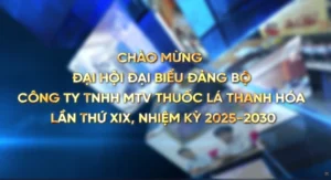 Video đại hội đảng